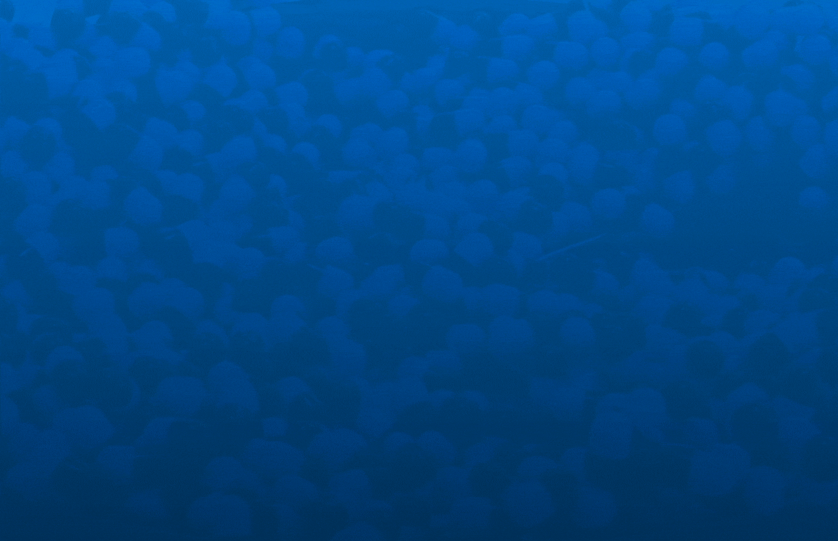 Fondo animado